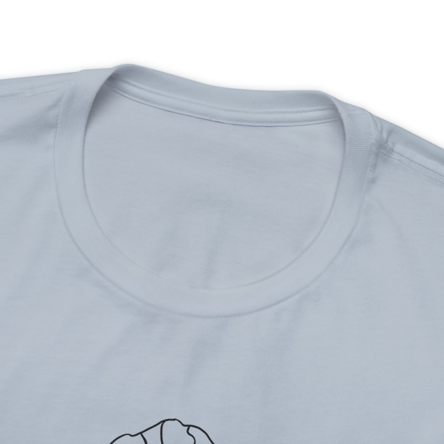 Pioneer Peak T shirt