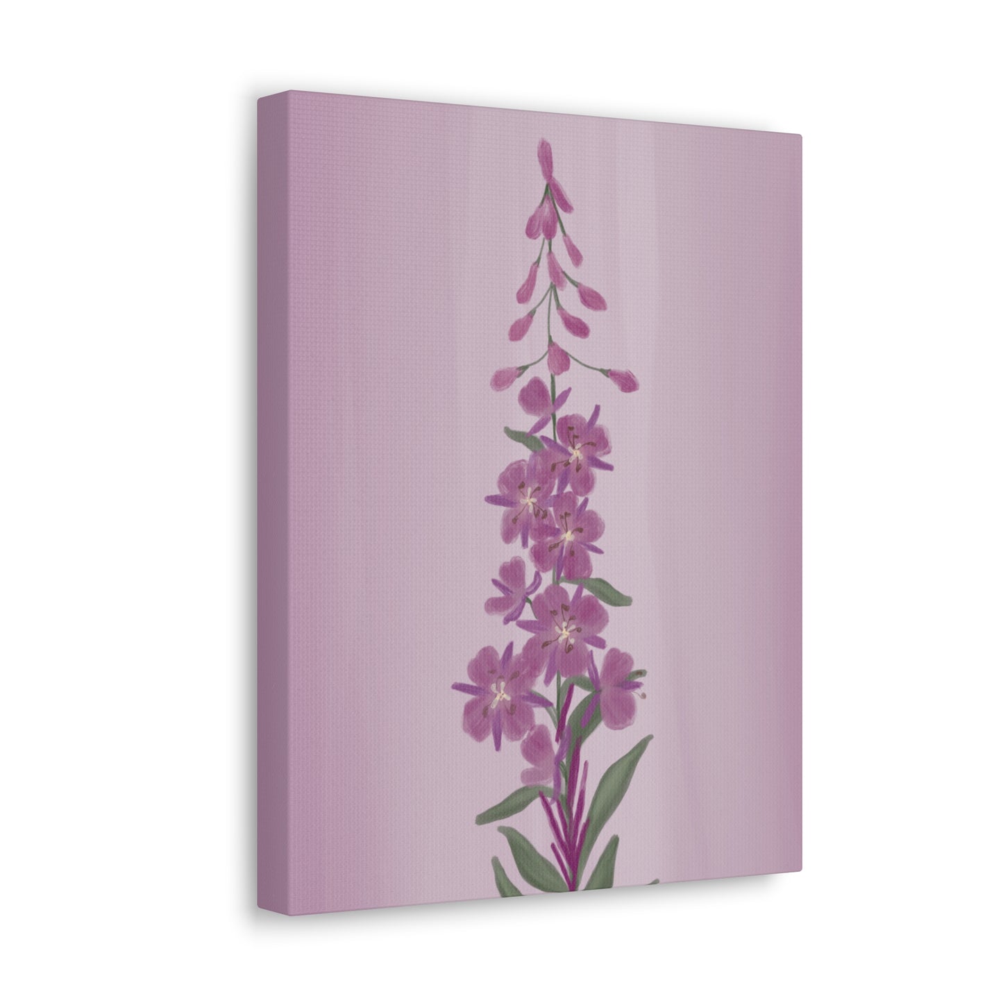 Alaskan Fireweed Canvas Wall Art