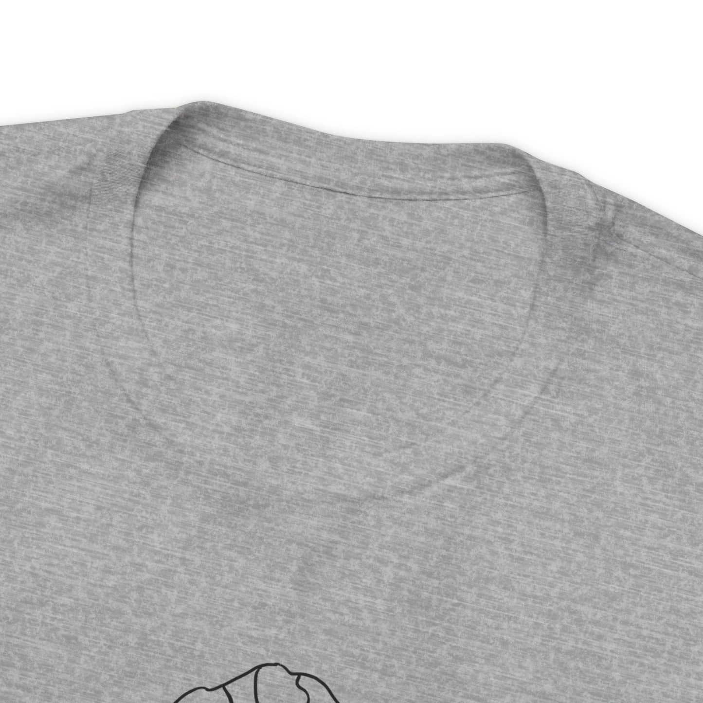 Pioneer Peak T shirt