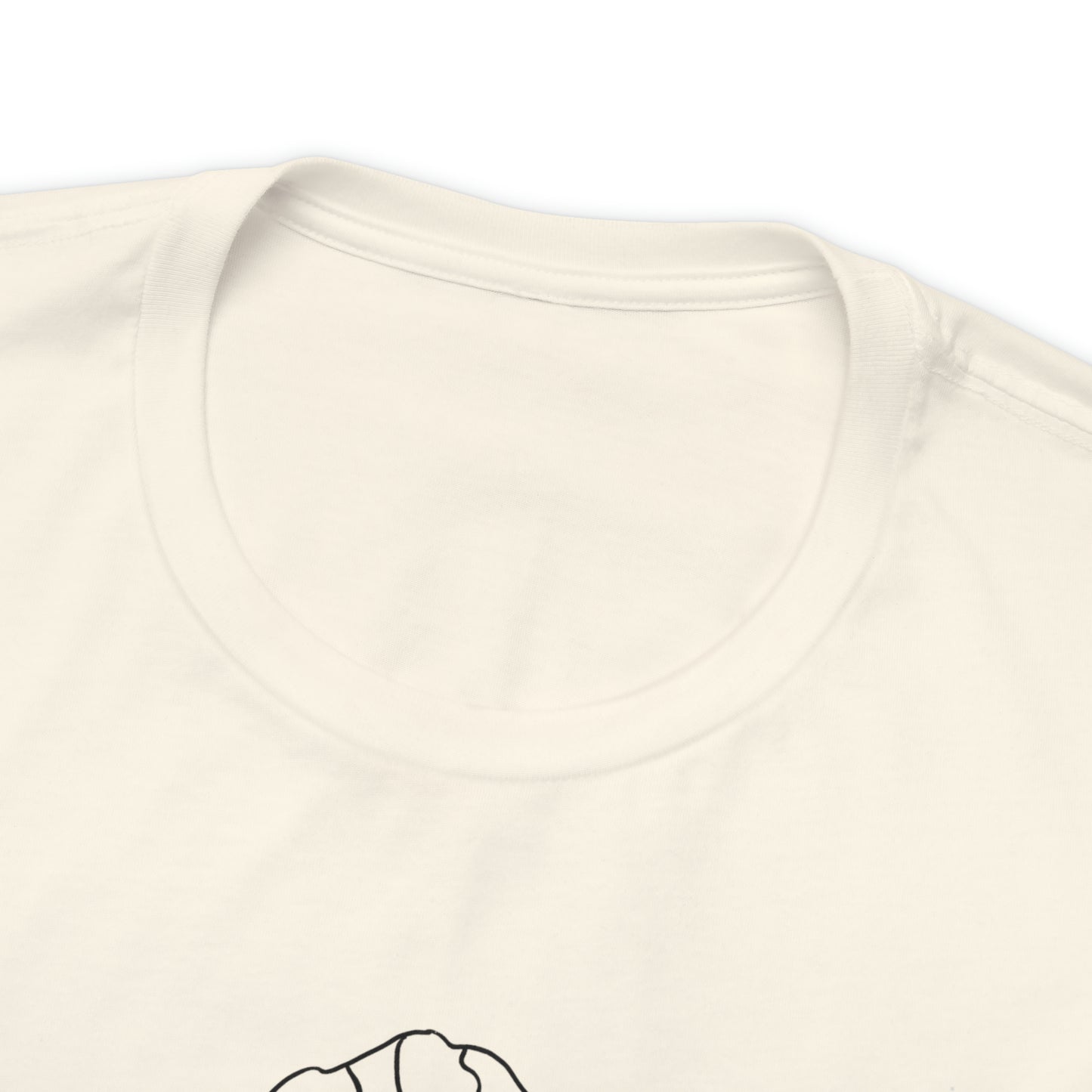 Pioneer Peak T shirt