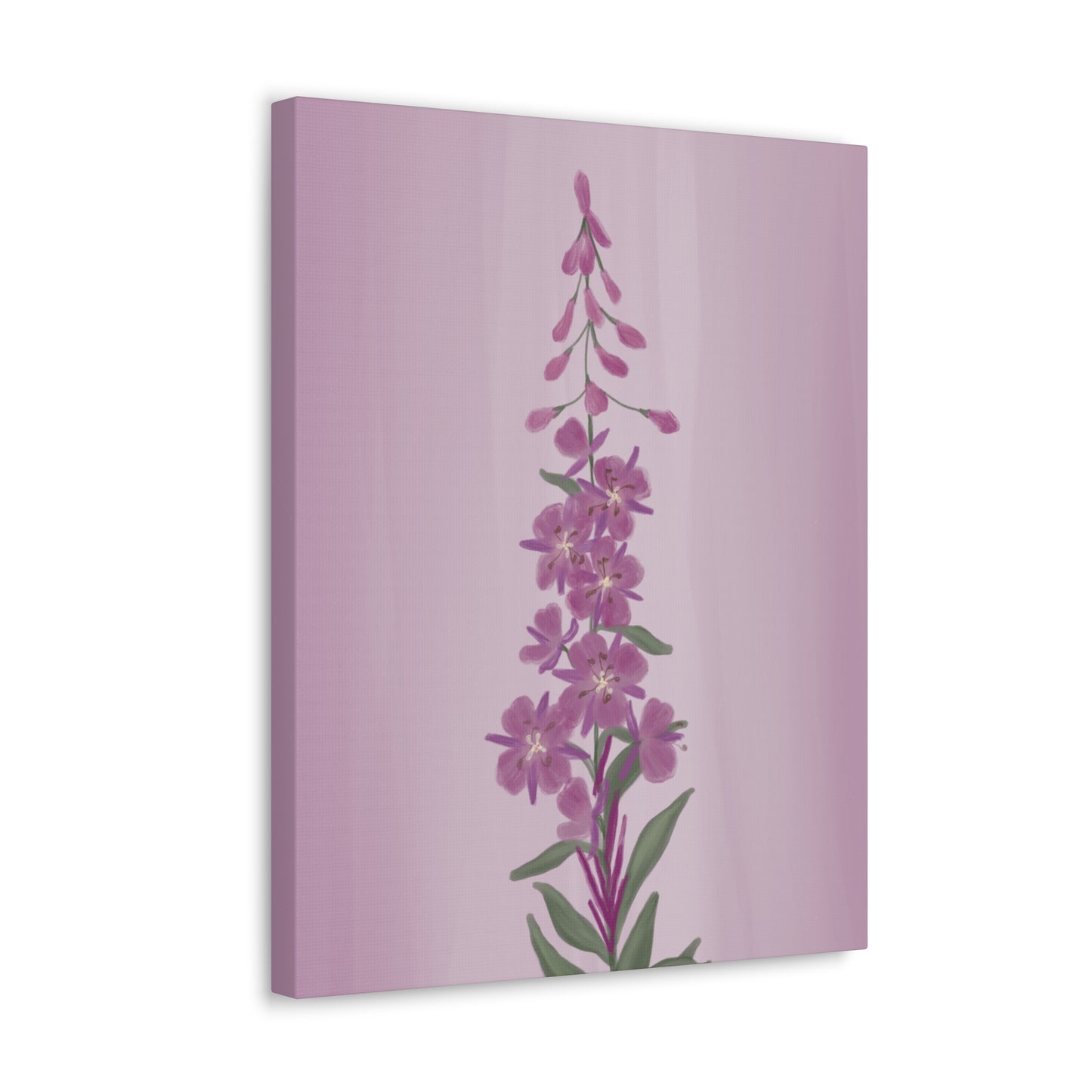 Alaskan Fireweed Canvas Wall Art