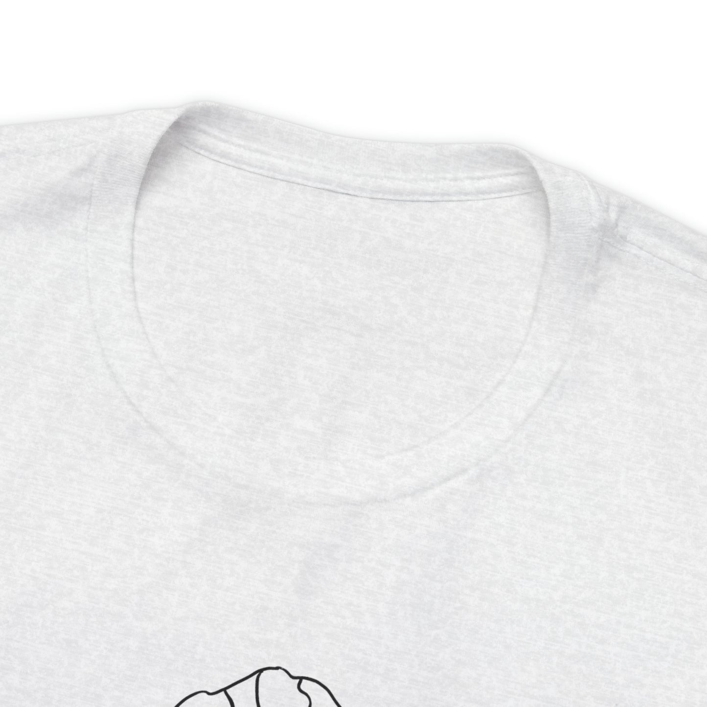 Pioneer Peak T shirt