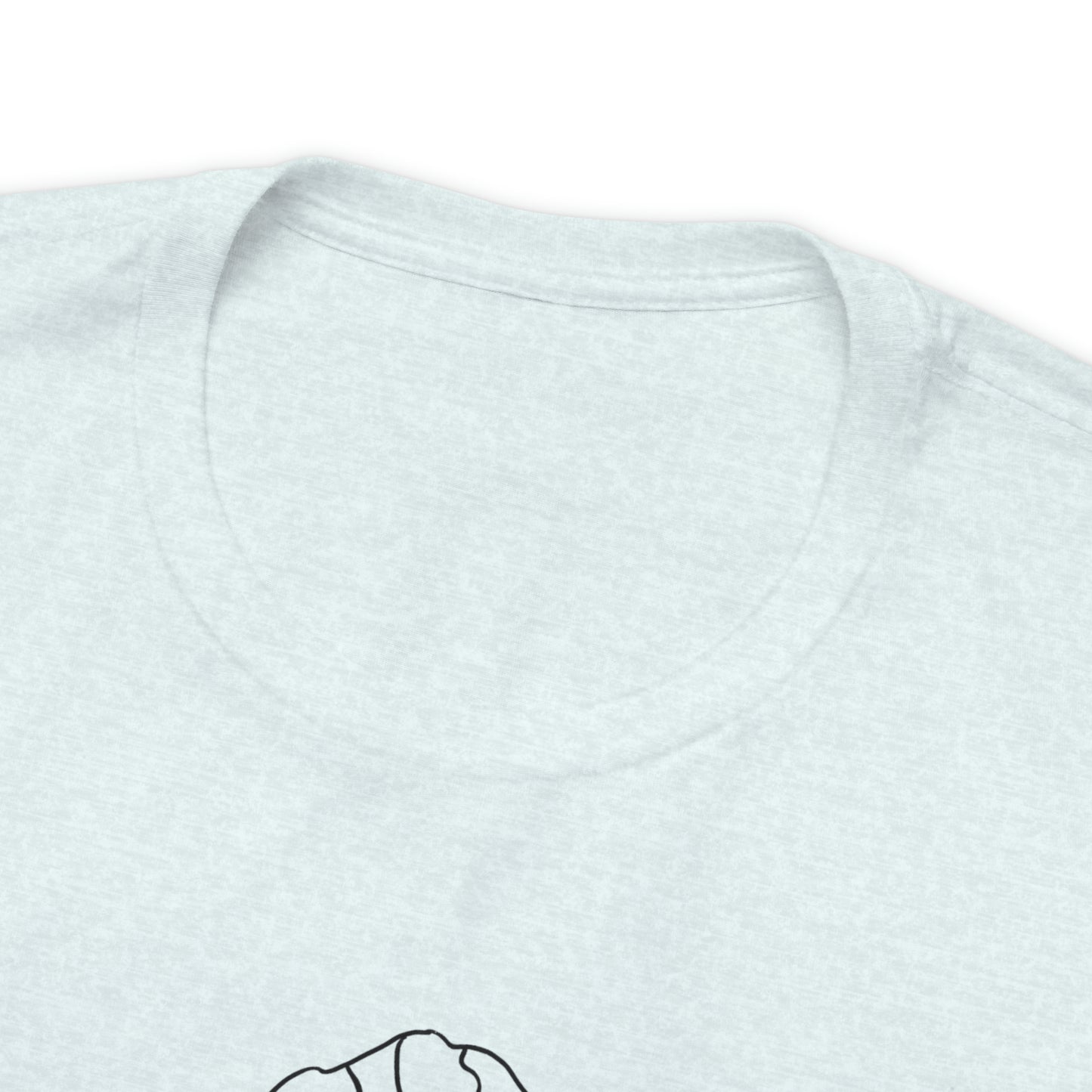 Pioneer Peak T shirt