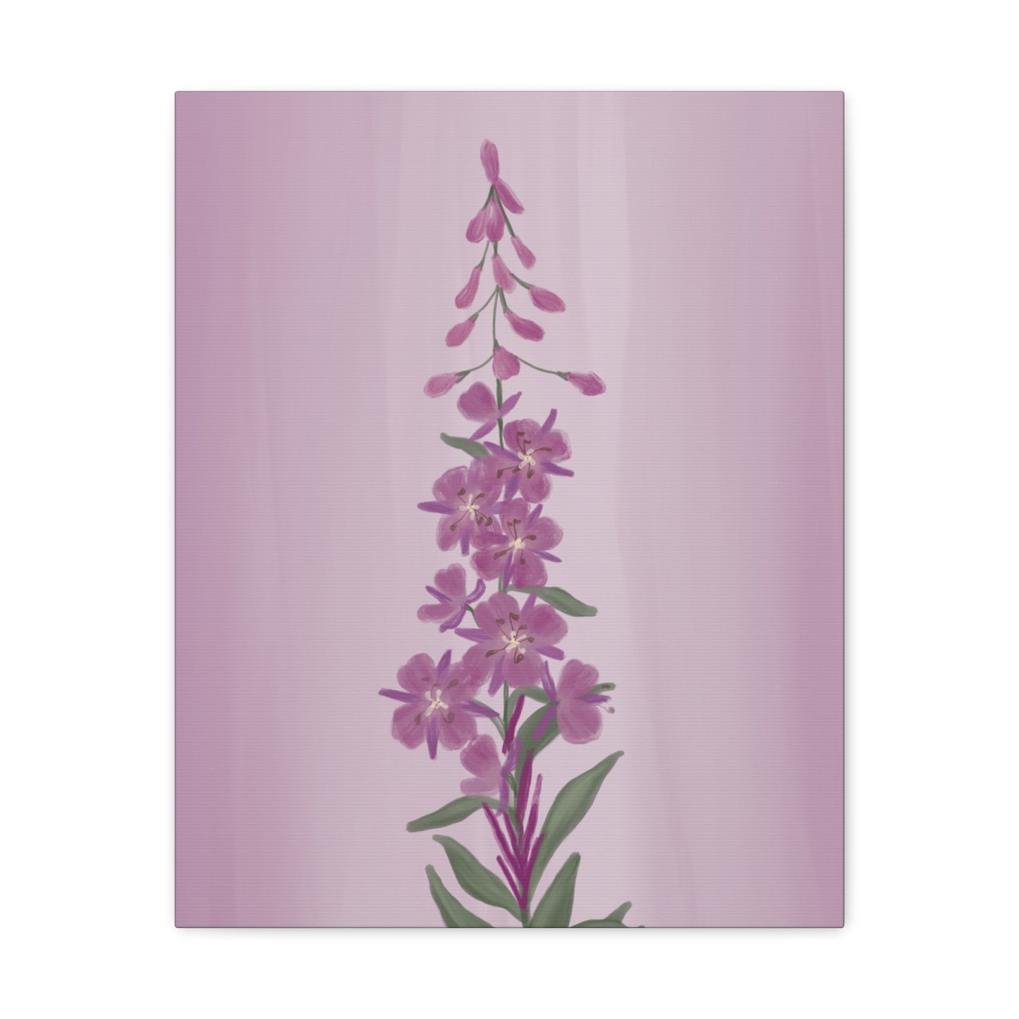 Alaskan Fireweed Canvas Wall Art