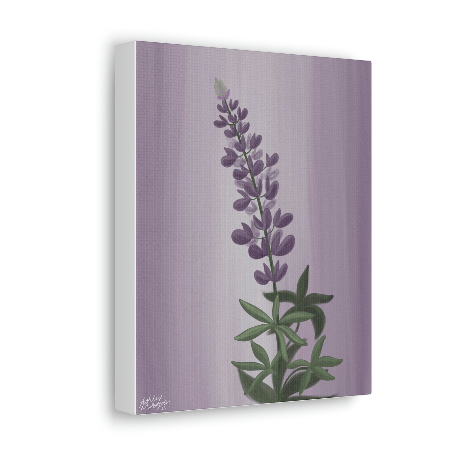 Lupine Wildflower Canvas Wrap