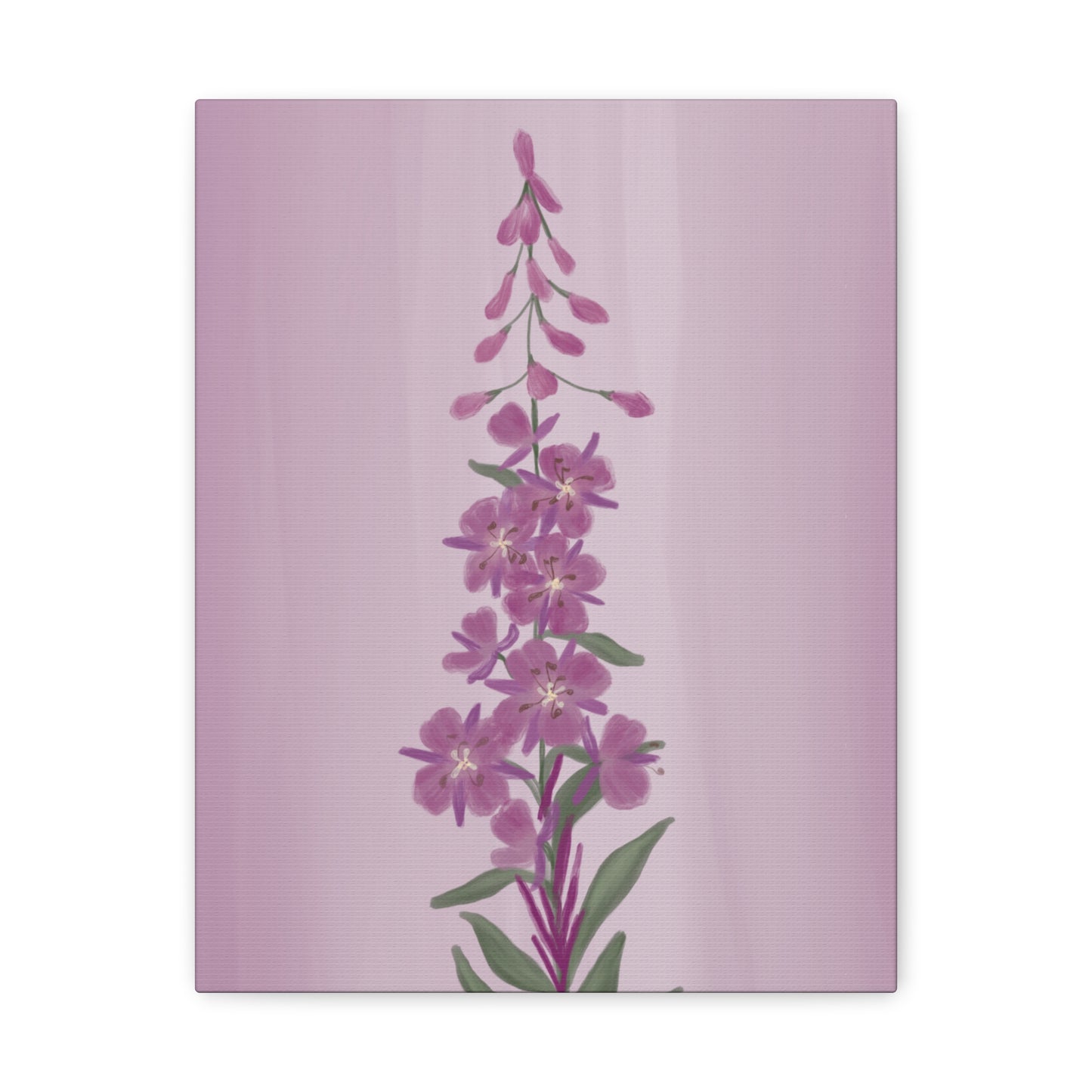 Alaskan Fireweed Canvas Wall Art