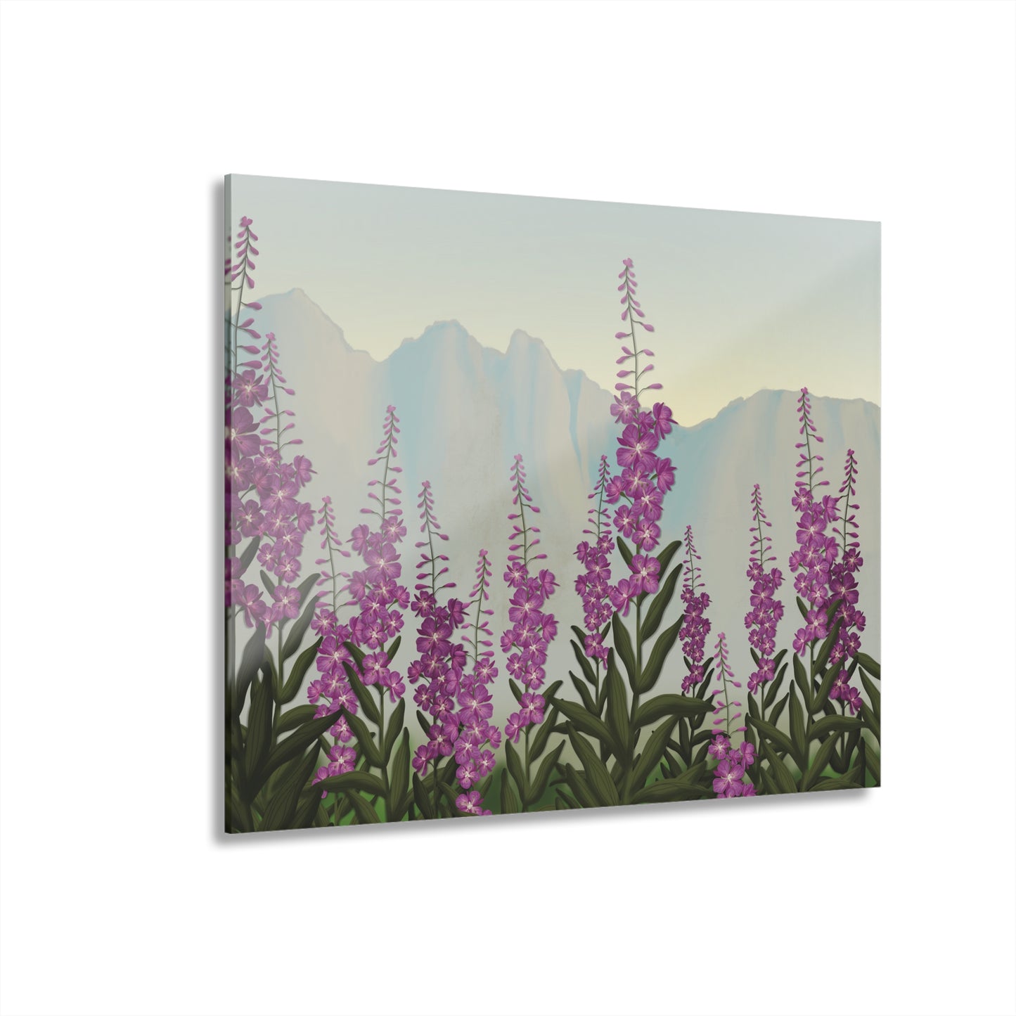 Fireweed Field  Acrylic Print