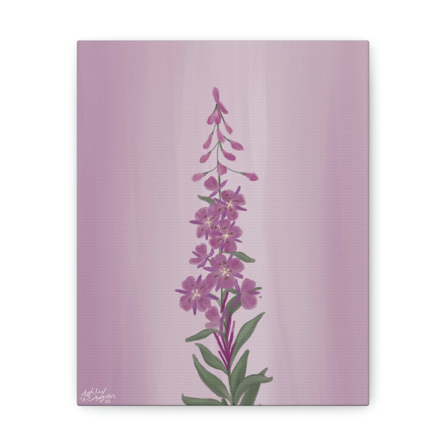 Fireweed Wildflower Canvas Wrap