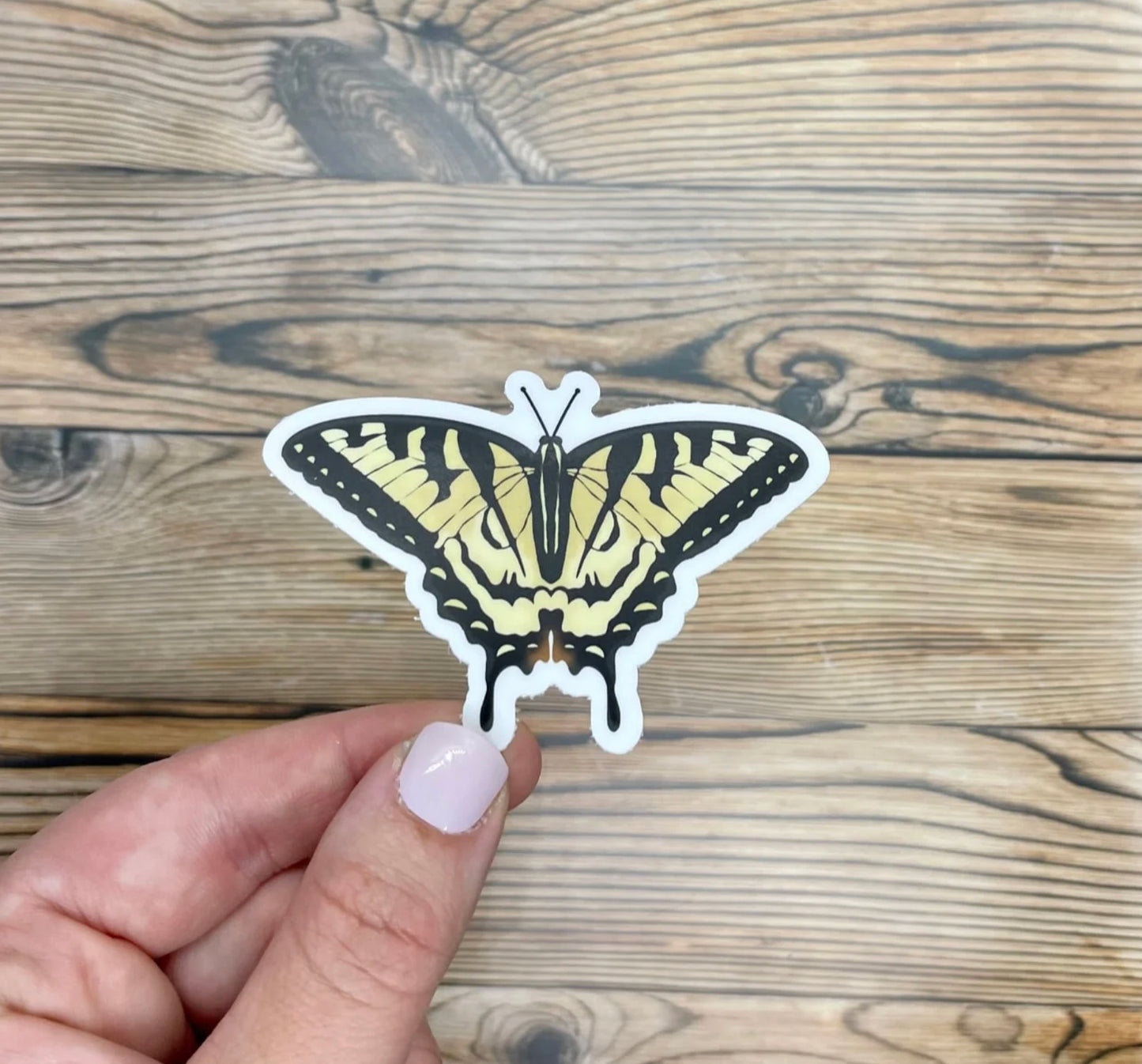 Canadian Swallow Tail Sticker