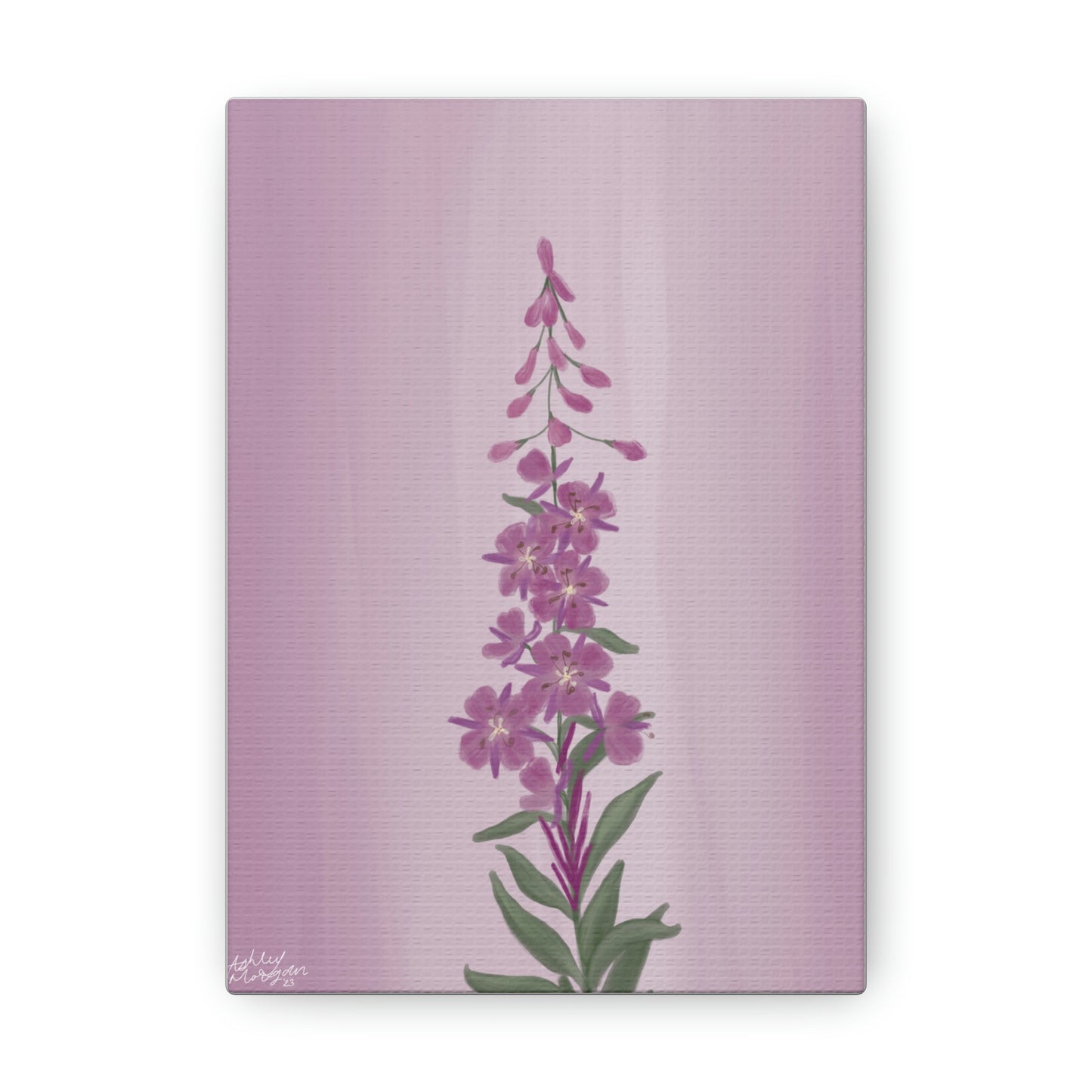 Fireweed Wildflower Canvas Wrap