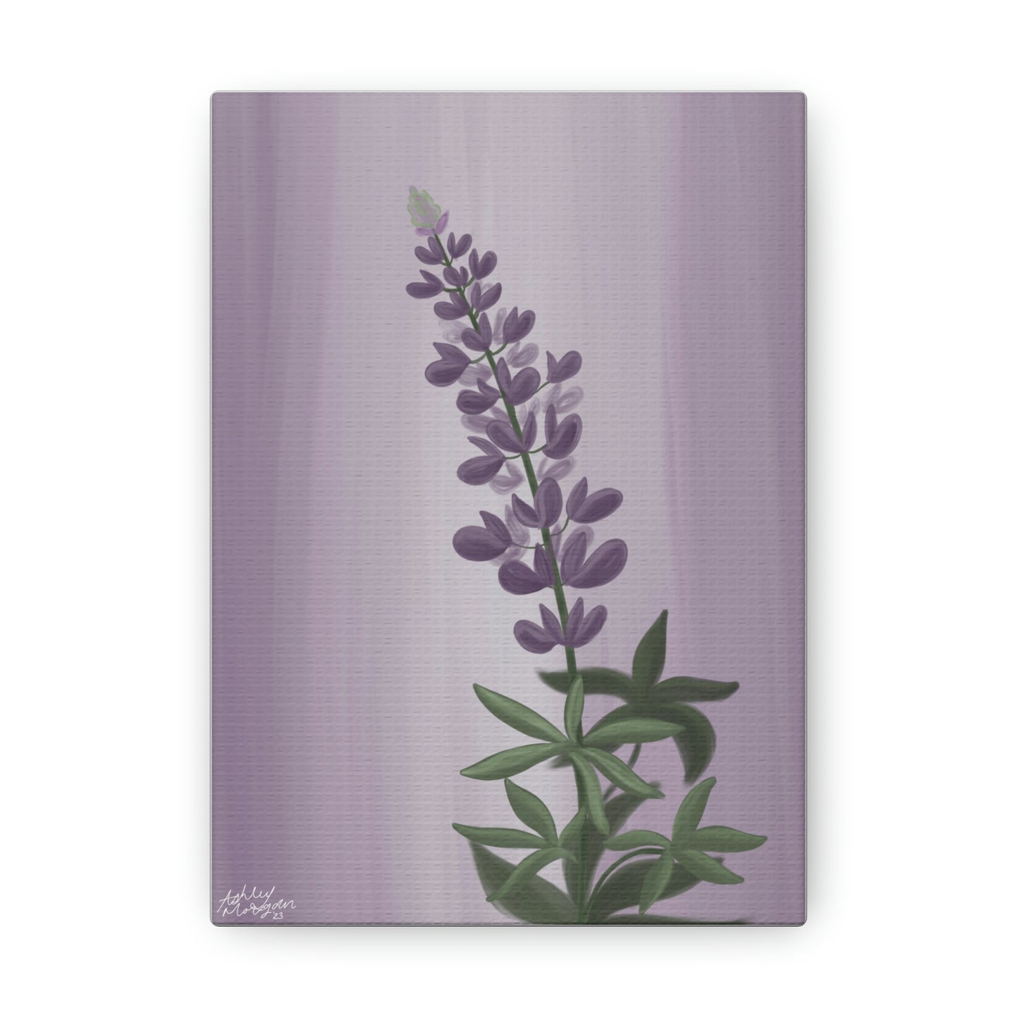 Lupine Wildflower Canvas Wrap