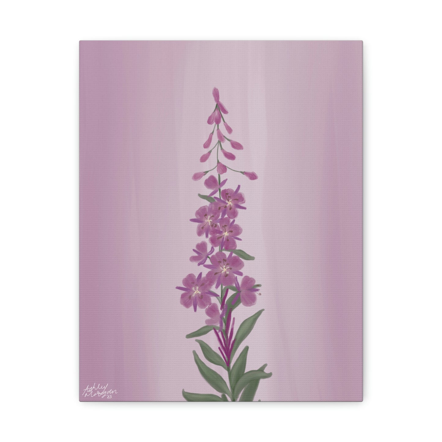 Fireweed Wildflower Canvas Wrap