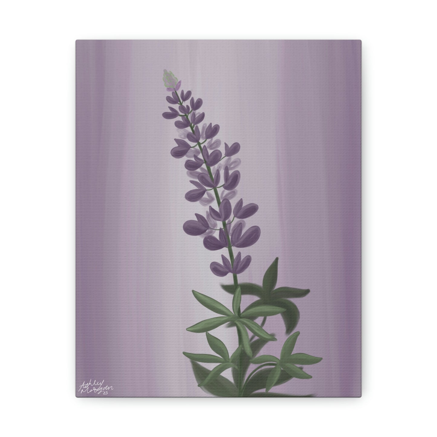 Lupine Wildflower Canvas Wrap