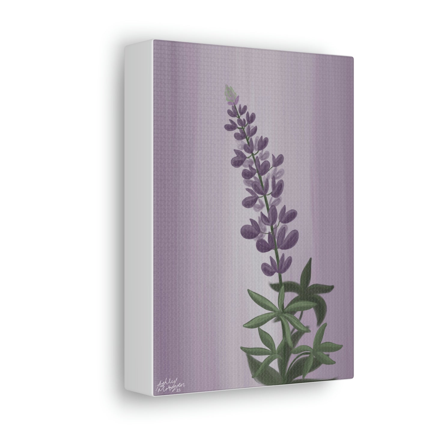 Lupine Wildflower Canvas Wrap