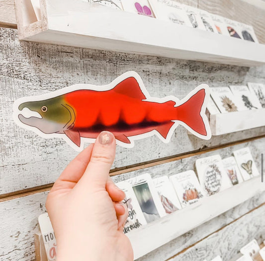 King Salmon Decal