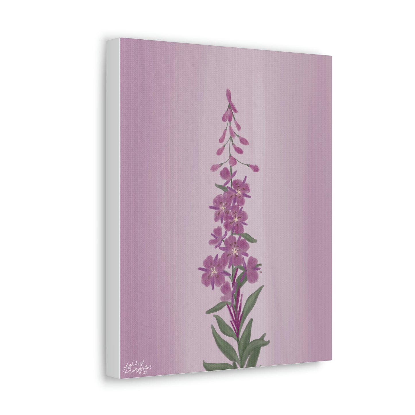 Fireweed Wildflower Canvas Wrap