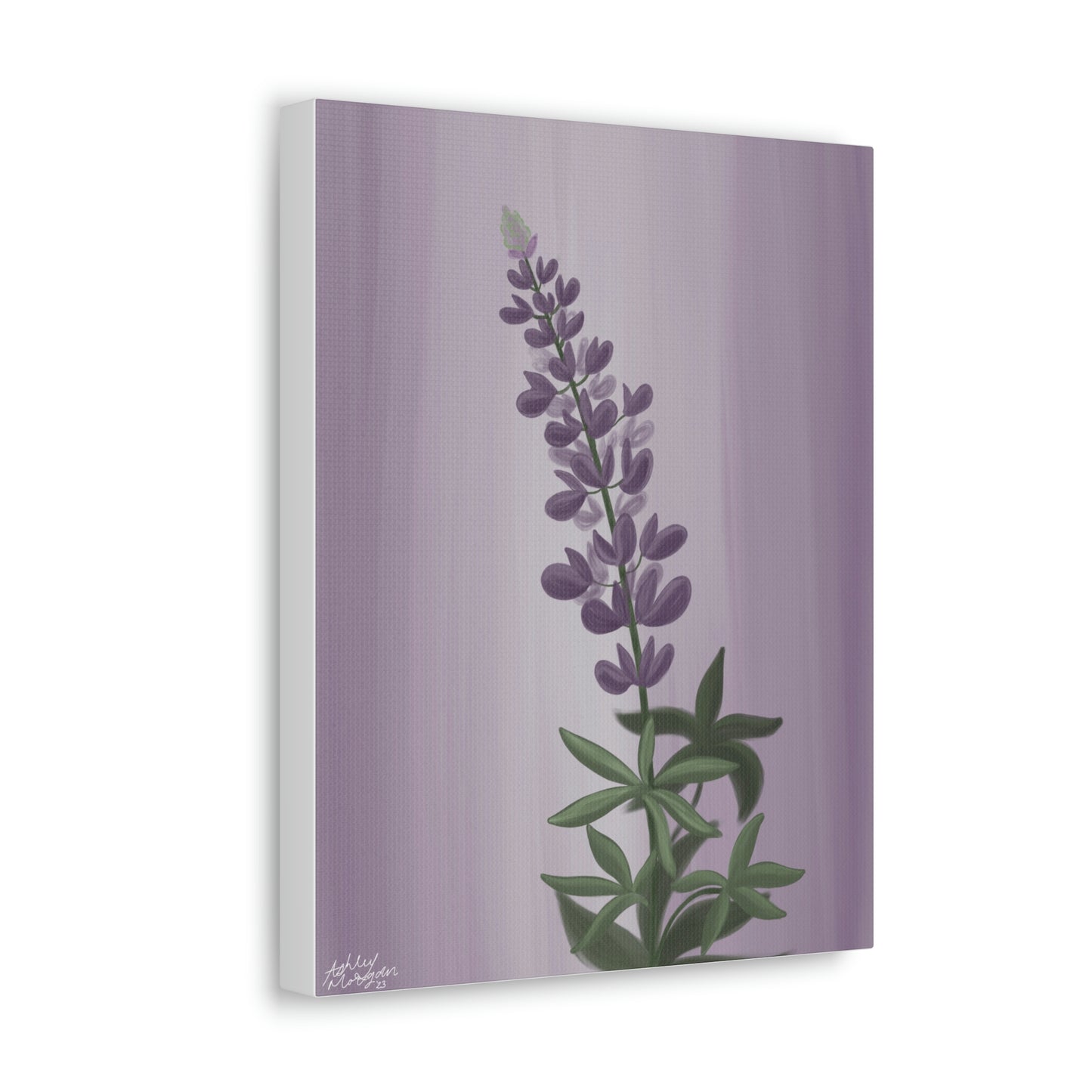 Lupine Wildflower Canvas Wrap