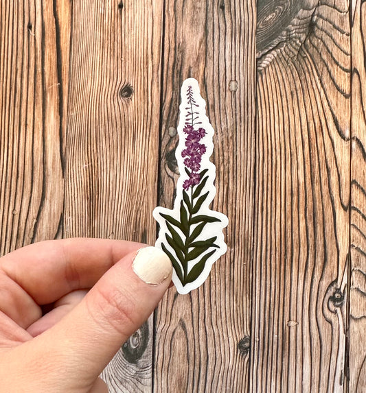 Fireweed Sticker