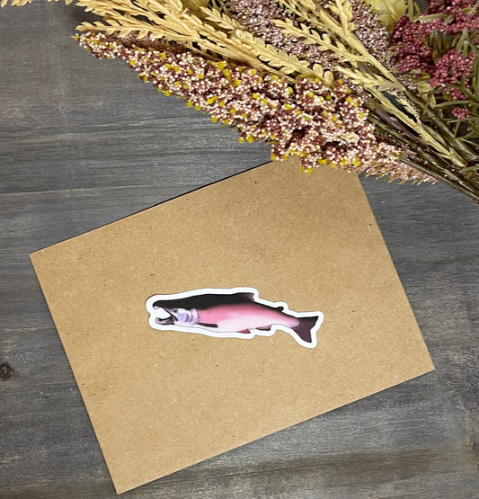 Silver Salmon Sticker