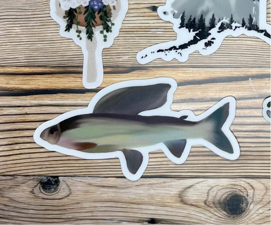 Grayling Sticker