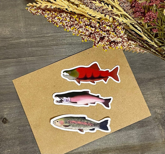 Rainbow Trout Sticker